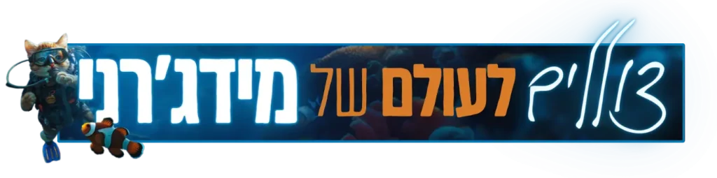 אנימציה למעלה