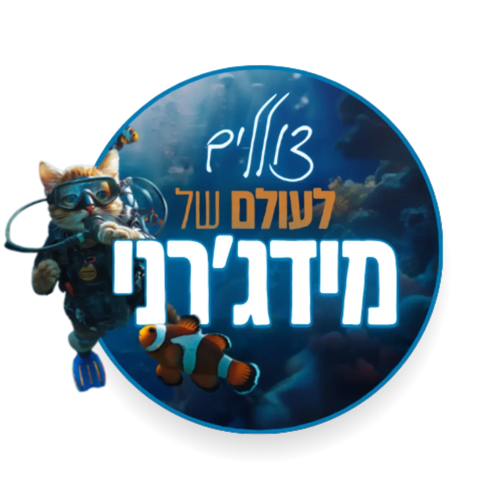 צוללים לעולם של מידג'רני (1)