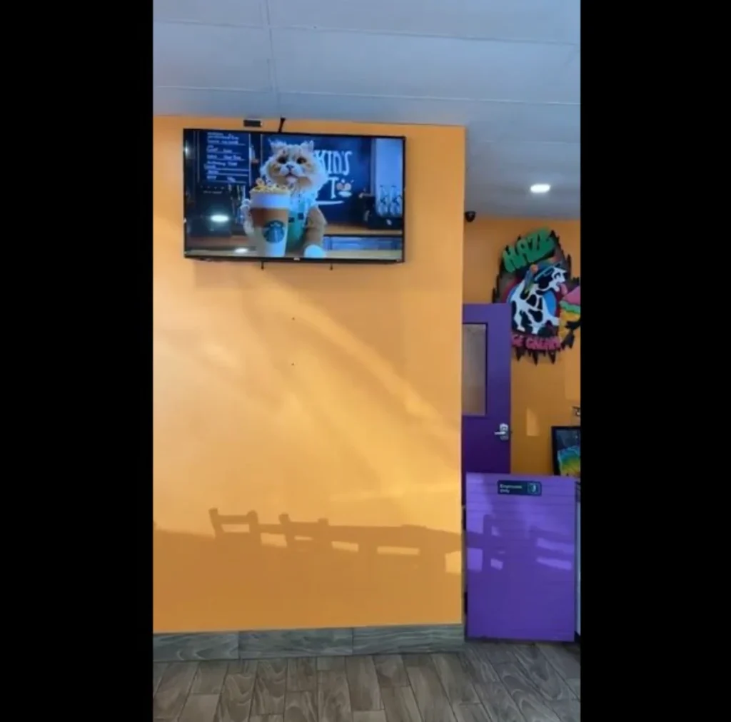 מידגרני TV בבתי עסק בכל רחבי העולם